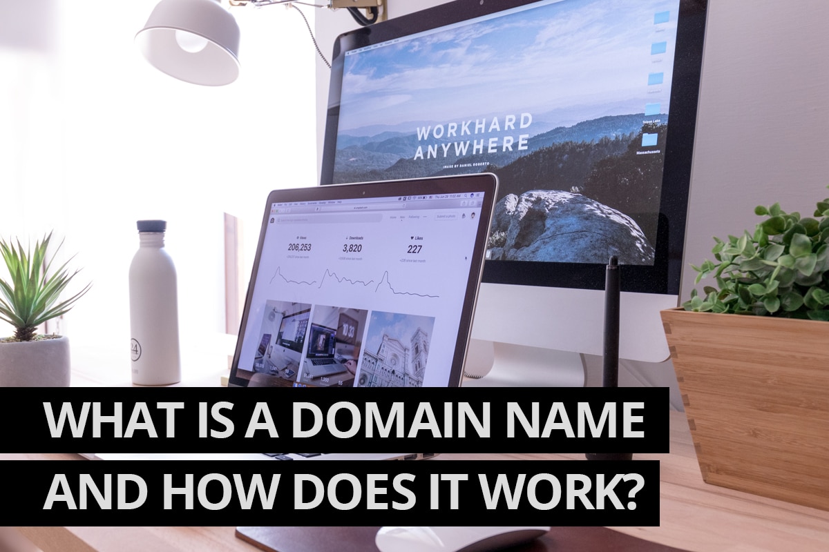 What is a domain name? Cowlick Studios Website Design