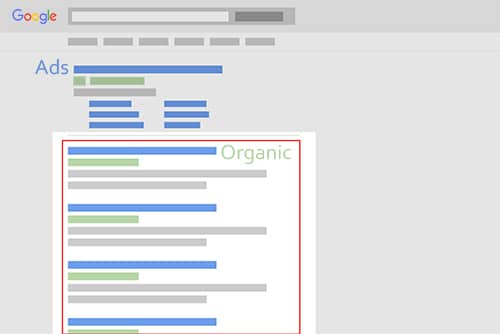 Google Paid vs Organic Search Results