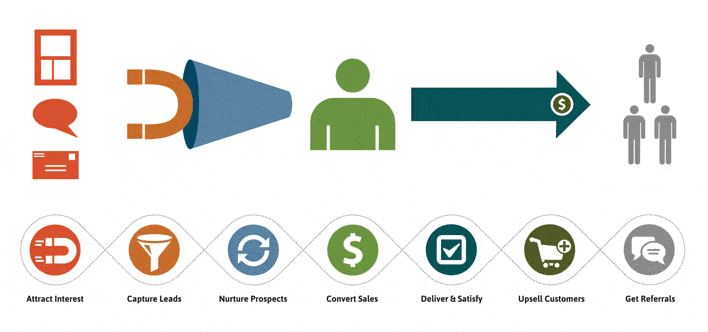 marketing automation by Cowlick Studios
