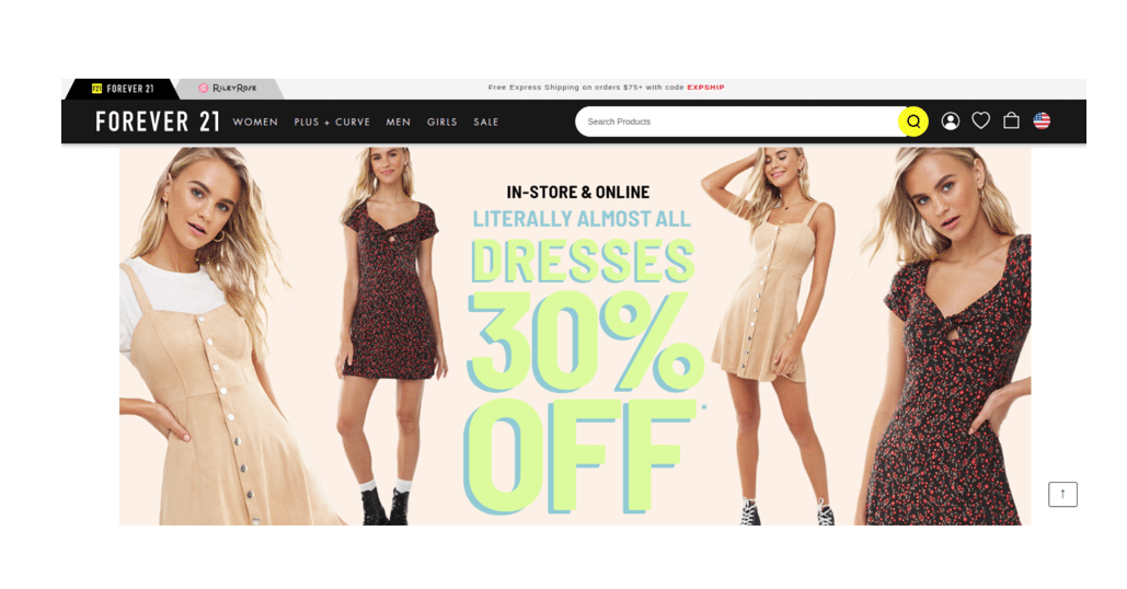 Content Creation for Website Design Windsor Cowlick Studios