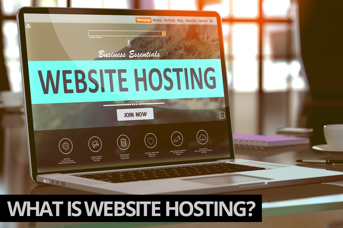 What is Website Hosting